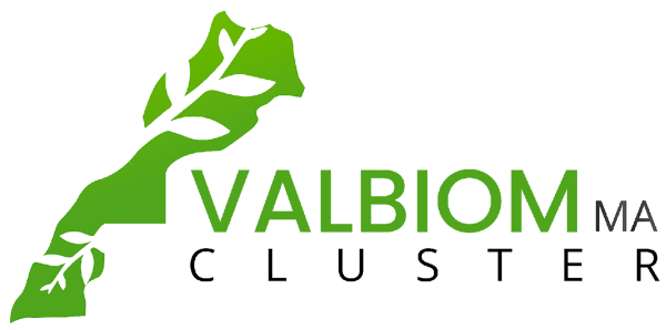 Cluster Valbiom logo